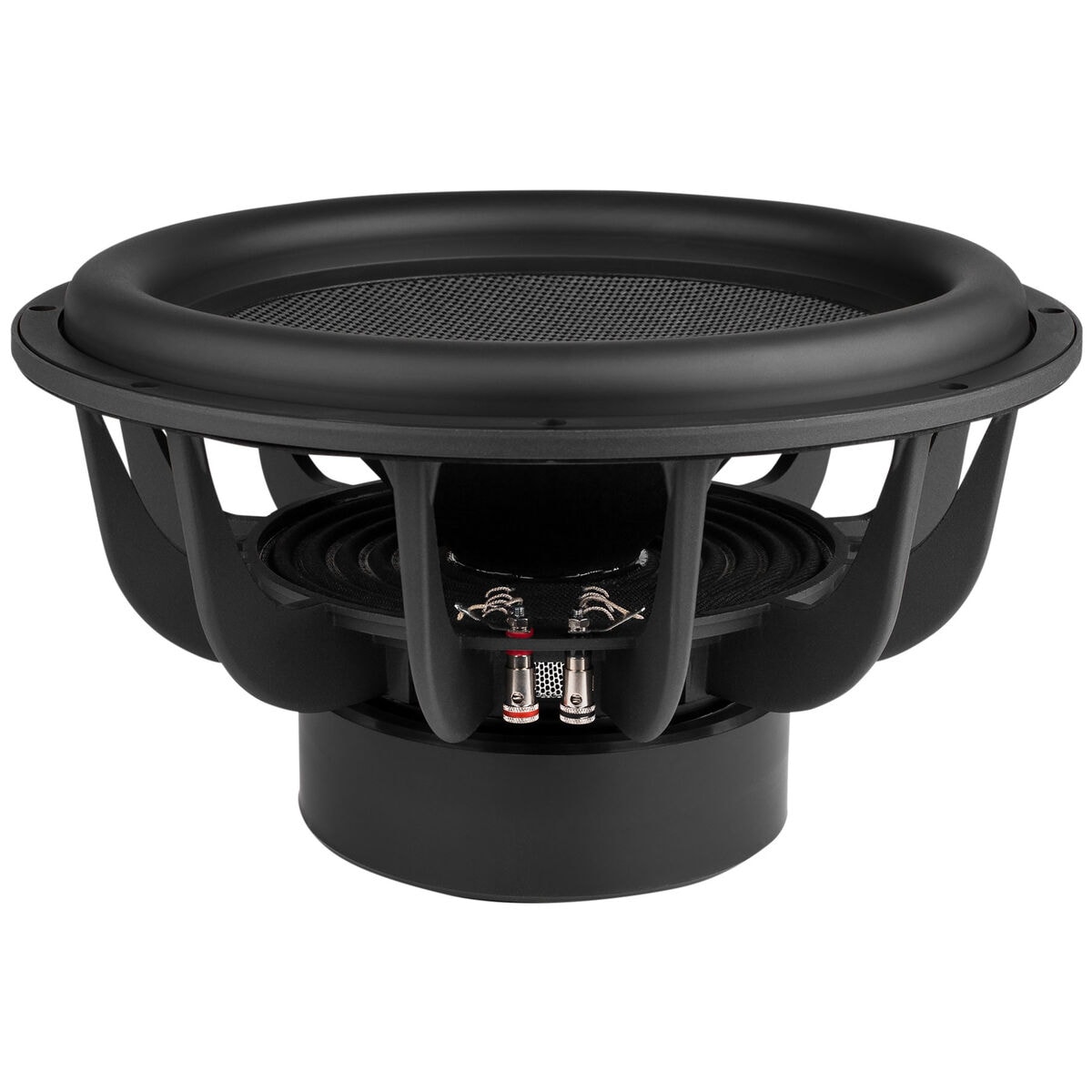 Two 15 best sale inch subwoofers